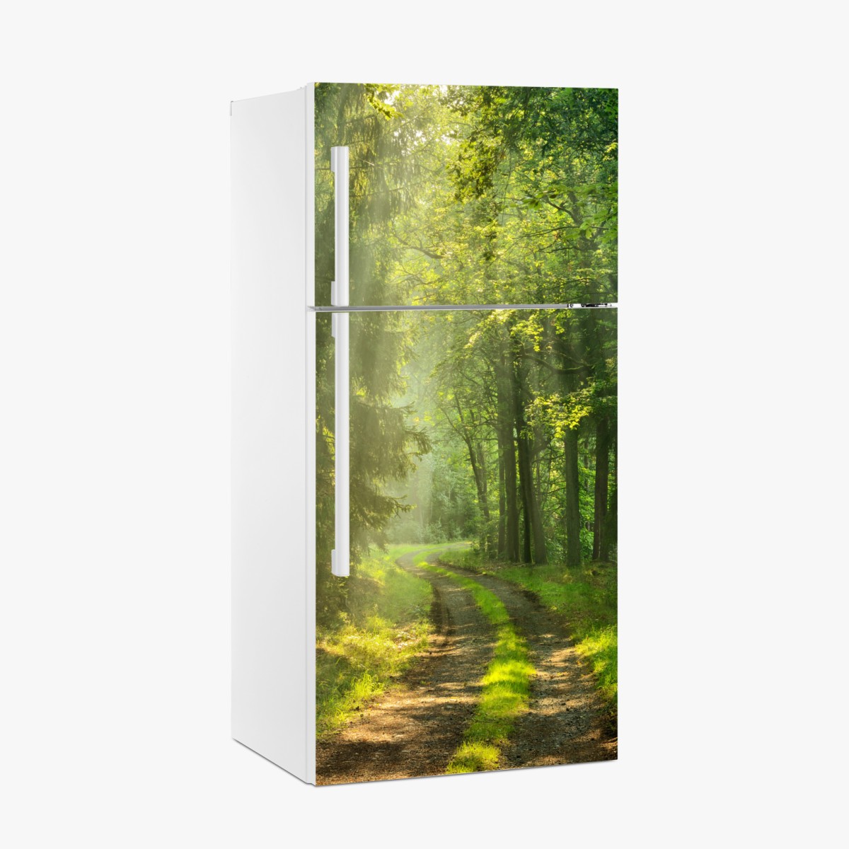 Kühlschrankaufkleber sonnenbeschienener waldpfad – Wallnifity®