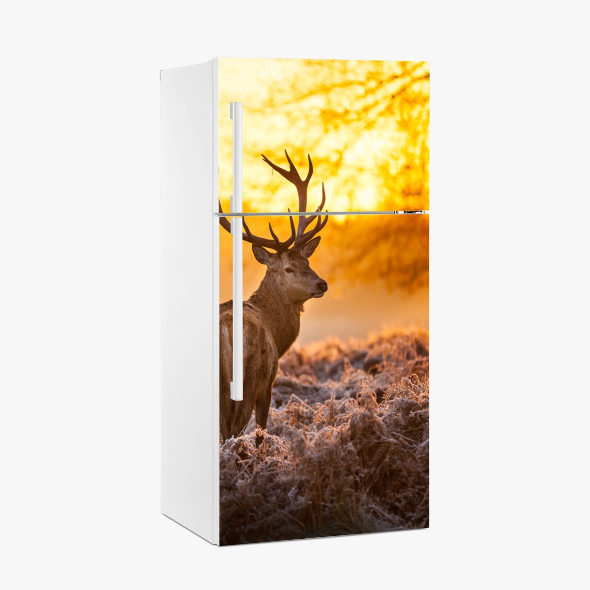 Kühlschrankaufkleber goldener hirsch im sonnenaufgang – Wallnifity®