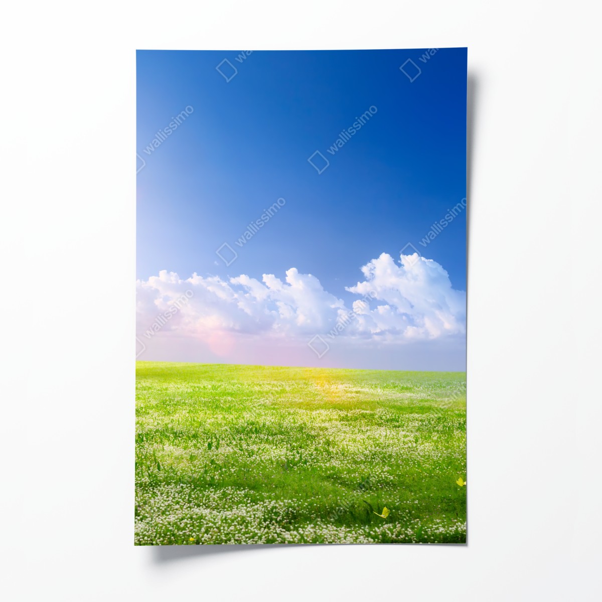 Poster sonnige frühlingswiese unter blauem himmel – Wallnifity®