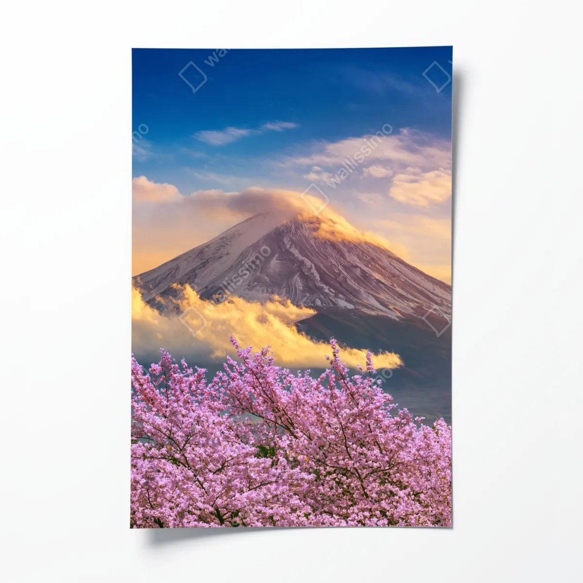 Poster Berg Fuji mit blühenden kirschblüten bei sonnenaufgang – Wallnifity®