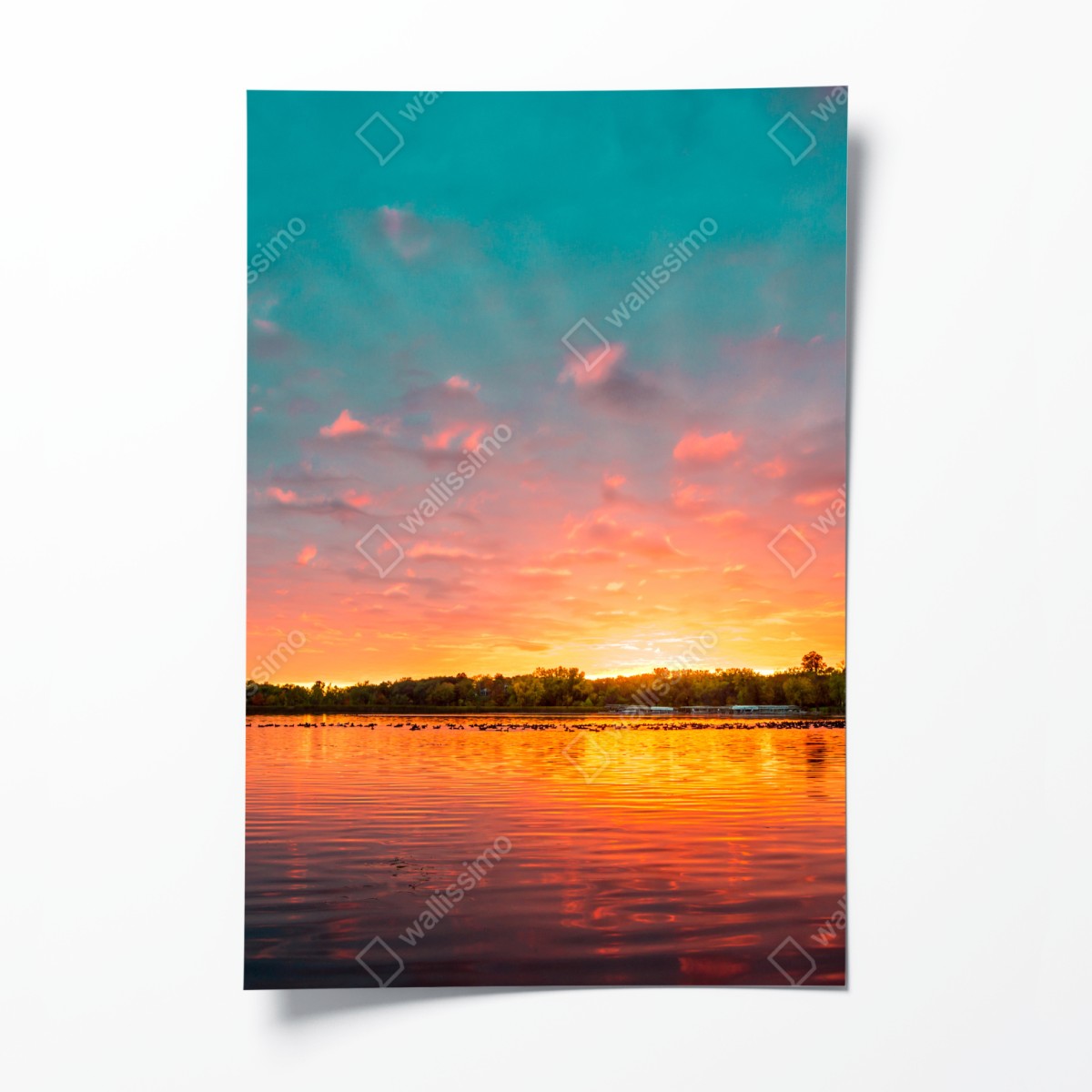 Poster türkisfarbener sonnenuntergang über ruhigem see – Wallnifity®