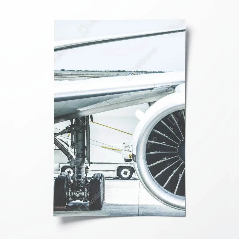 Poster tropischer palmstrand – Wallnifity®