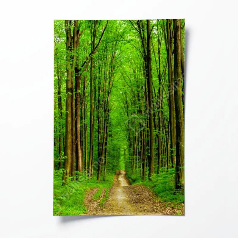 Poster panorama von Boston bei sonnenuntergang mit Zakim und Tobin brücken – Wallnifity®