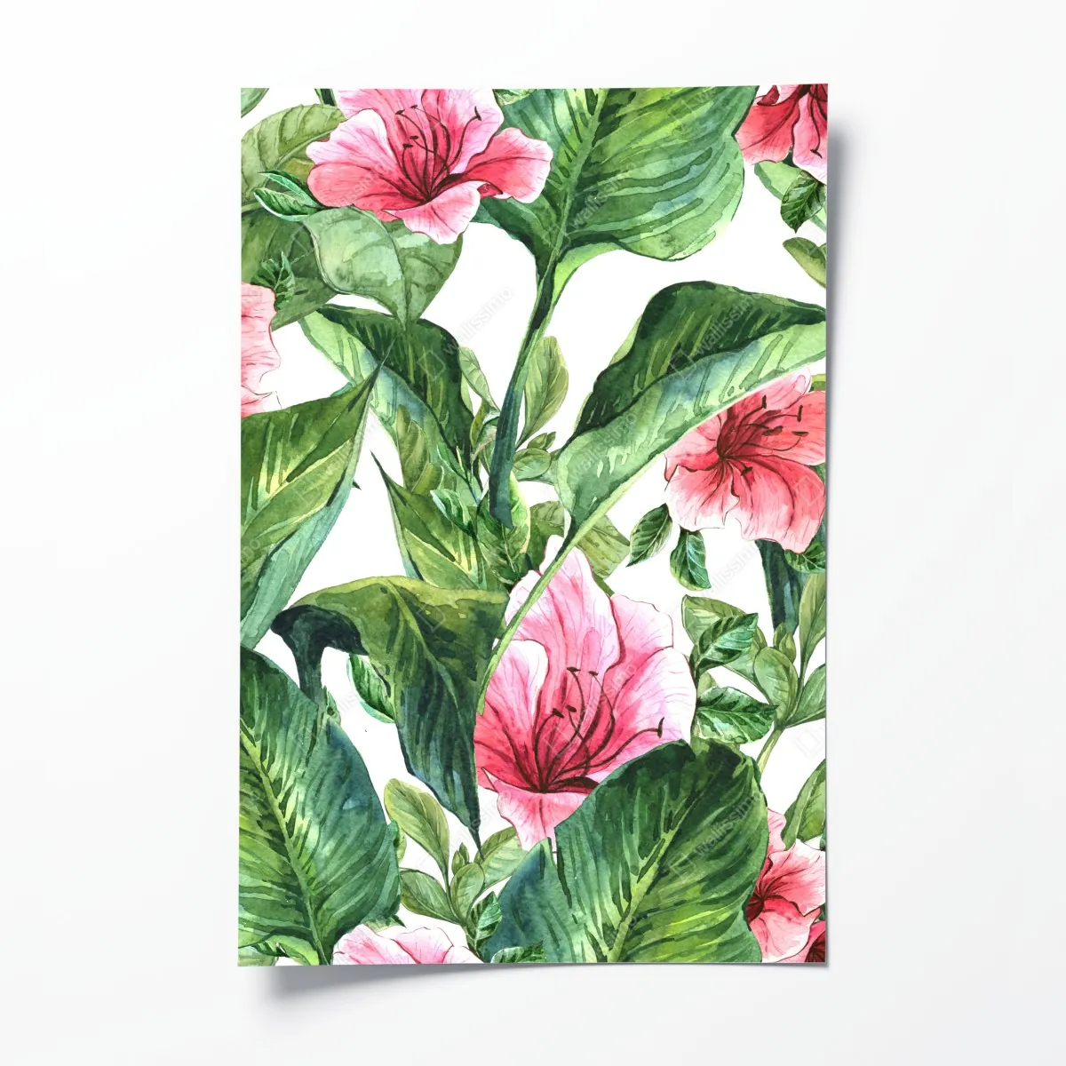 Poster rosa aquarell blumen botanikmotiv – Wallnifity®