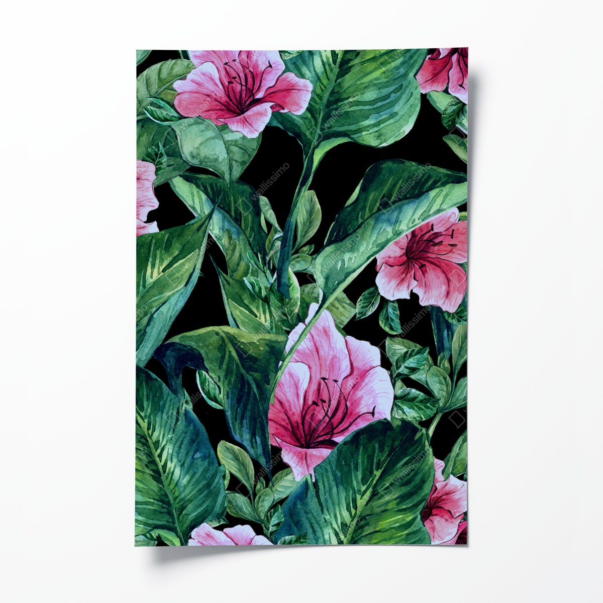 Poster rosa aquarellblumen auf schwarzem hintergrund – Wallnifity®