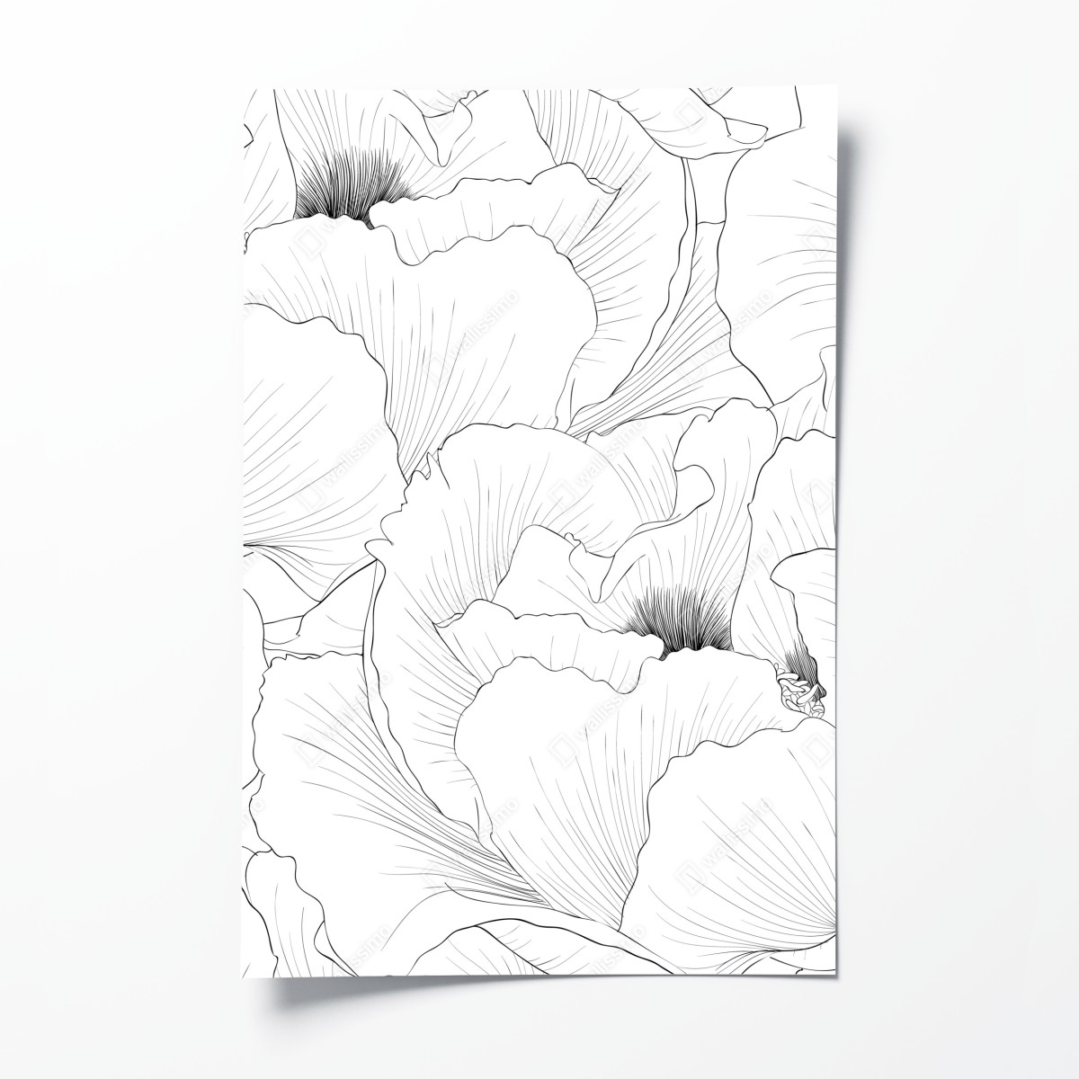 Poster feine botanische linienzeichnung mit blumen – Wallnifity®