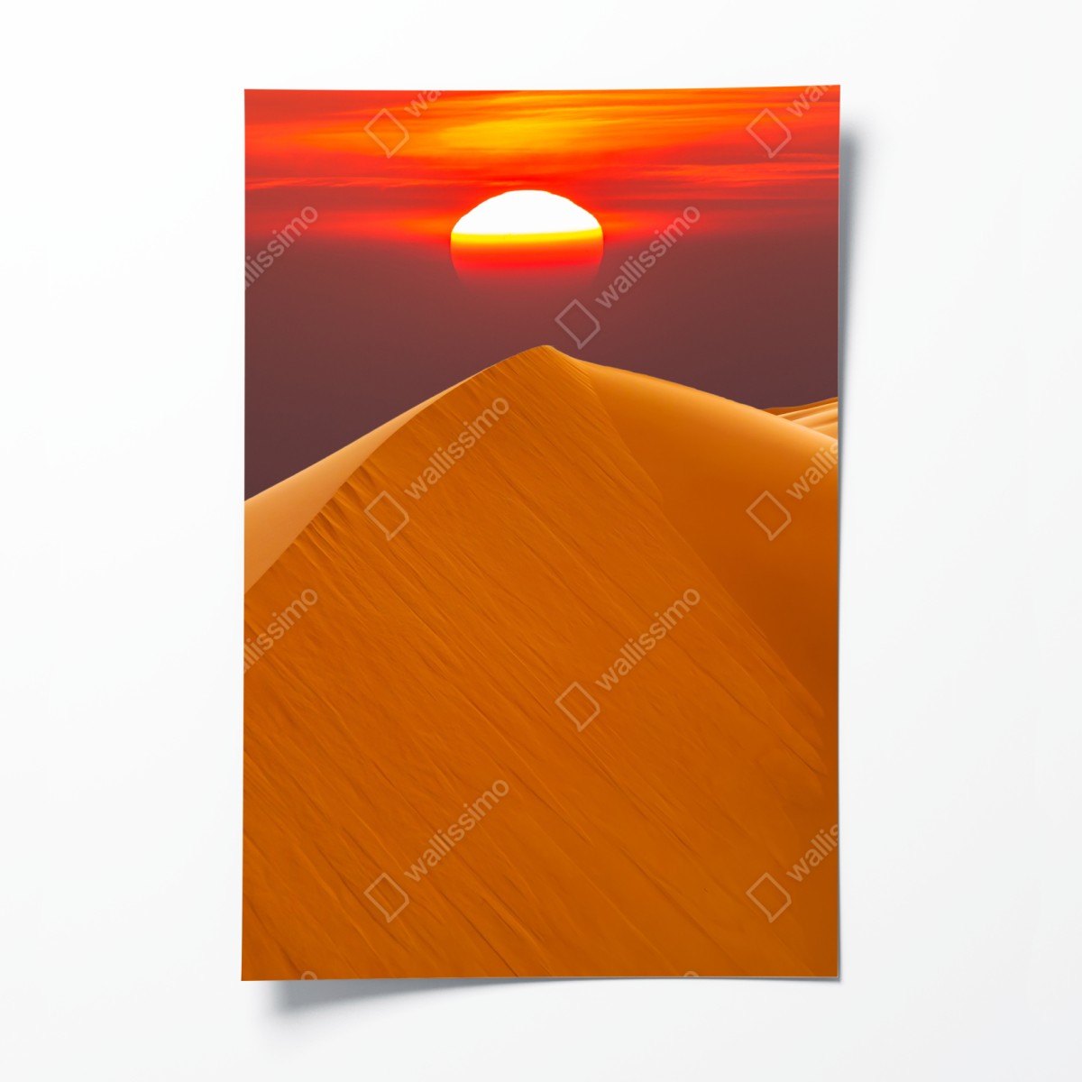 Poster goldener sonnenuntergang über sanddünen – Wallnifity®