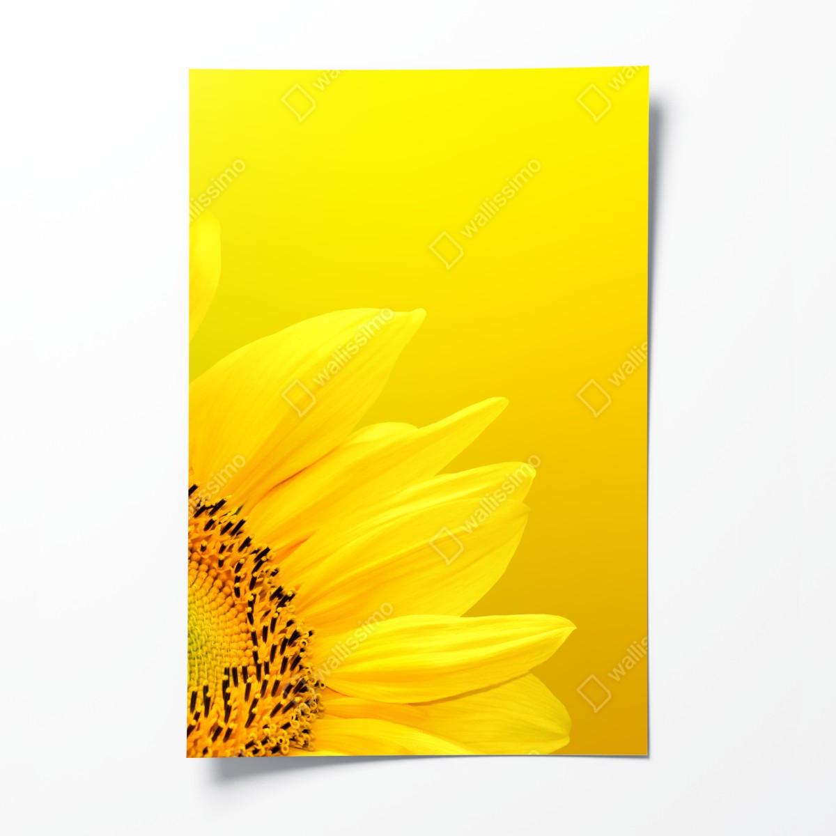 Poster leuchtende sonnenblume nahaufnahme auf gelbem hintergrund – Wallnifity®