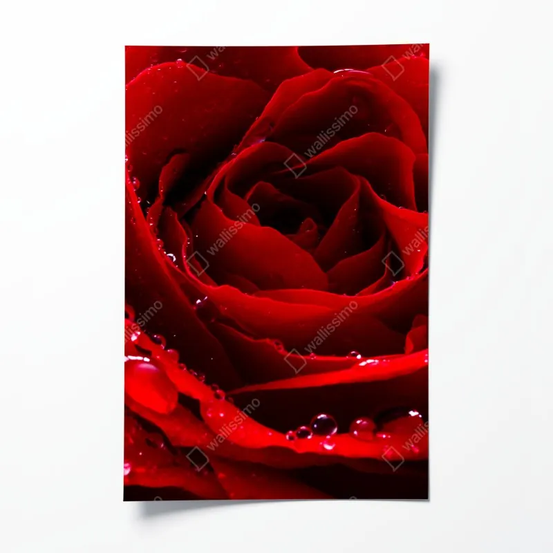 Poster sonnenuntergang über Machu Picchu antike Inka-zitadelle – Wallnifity®