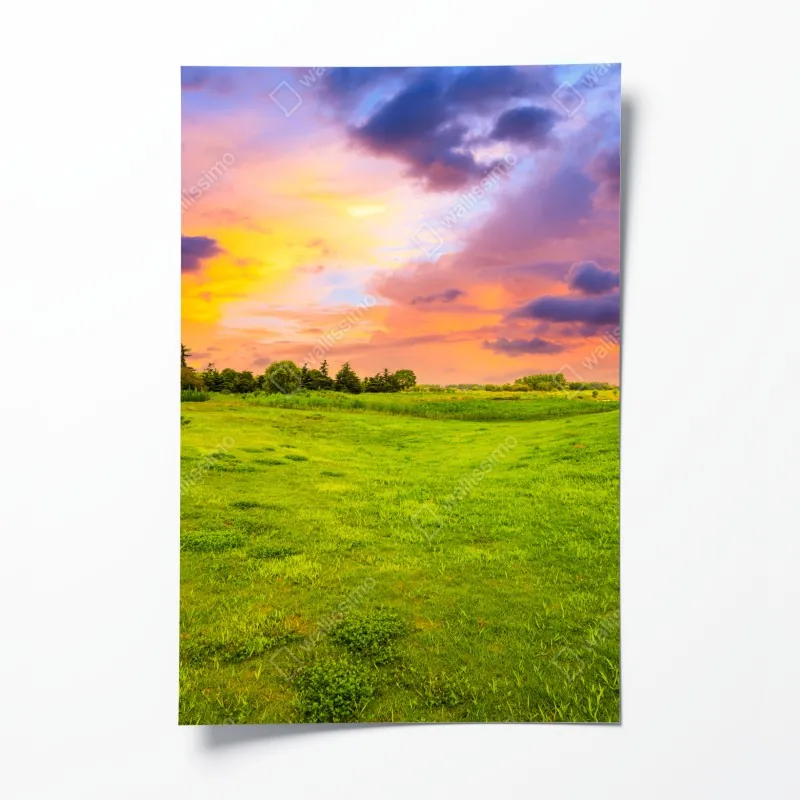 Poster tropischer palmstrand – Wallnifity®