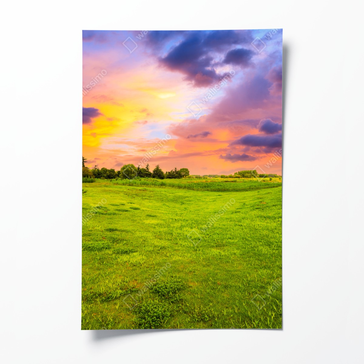 Poster sonnenuntergang über grüner wiese – Wallnifity®