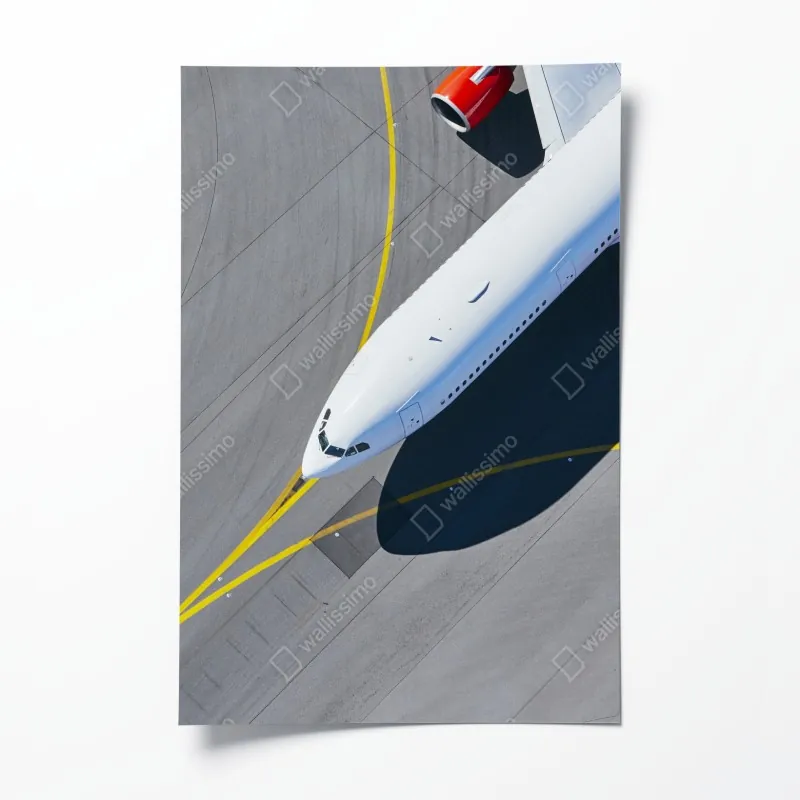 Poster sonnenuntergang mit schwan auf stillem see – Wallnifity®