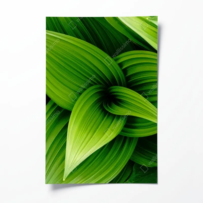 Poster tropischer strand mit palmen und segelboot – Wallnifity®