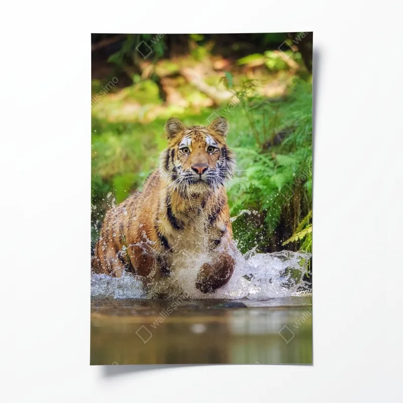 Poster boho aquarell-panda mit federn – Wallnifity®