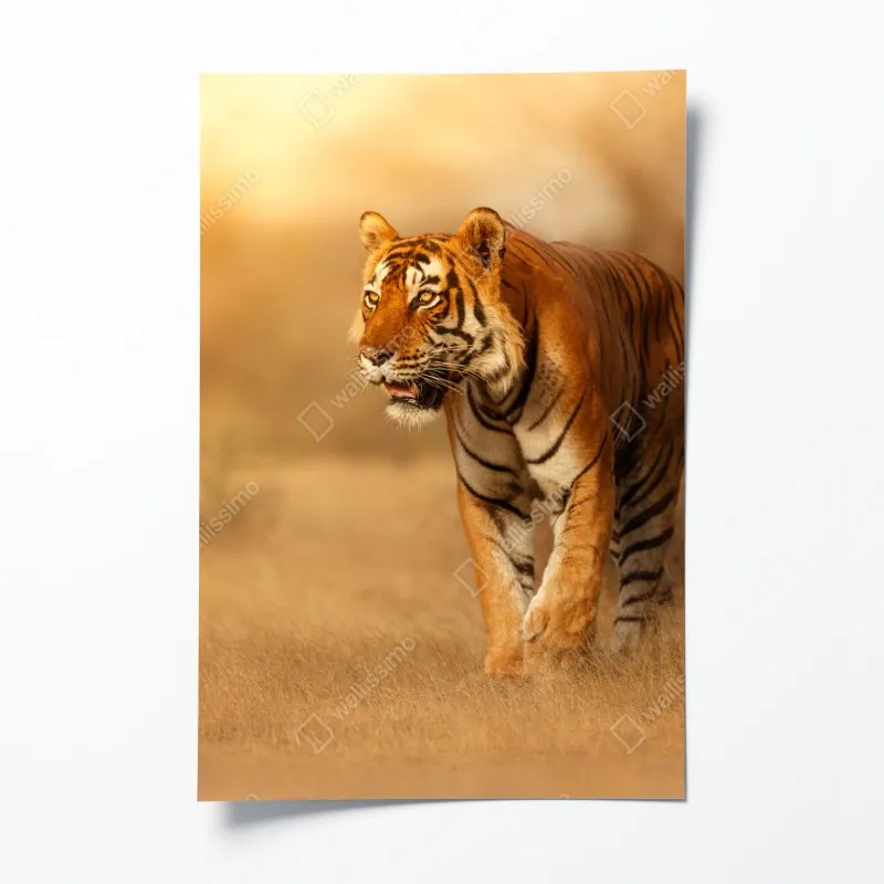 Poster endlose wand aus roten rosen – Wallnifity®