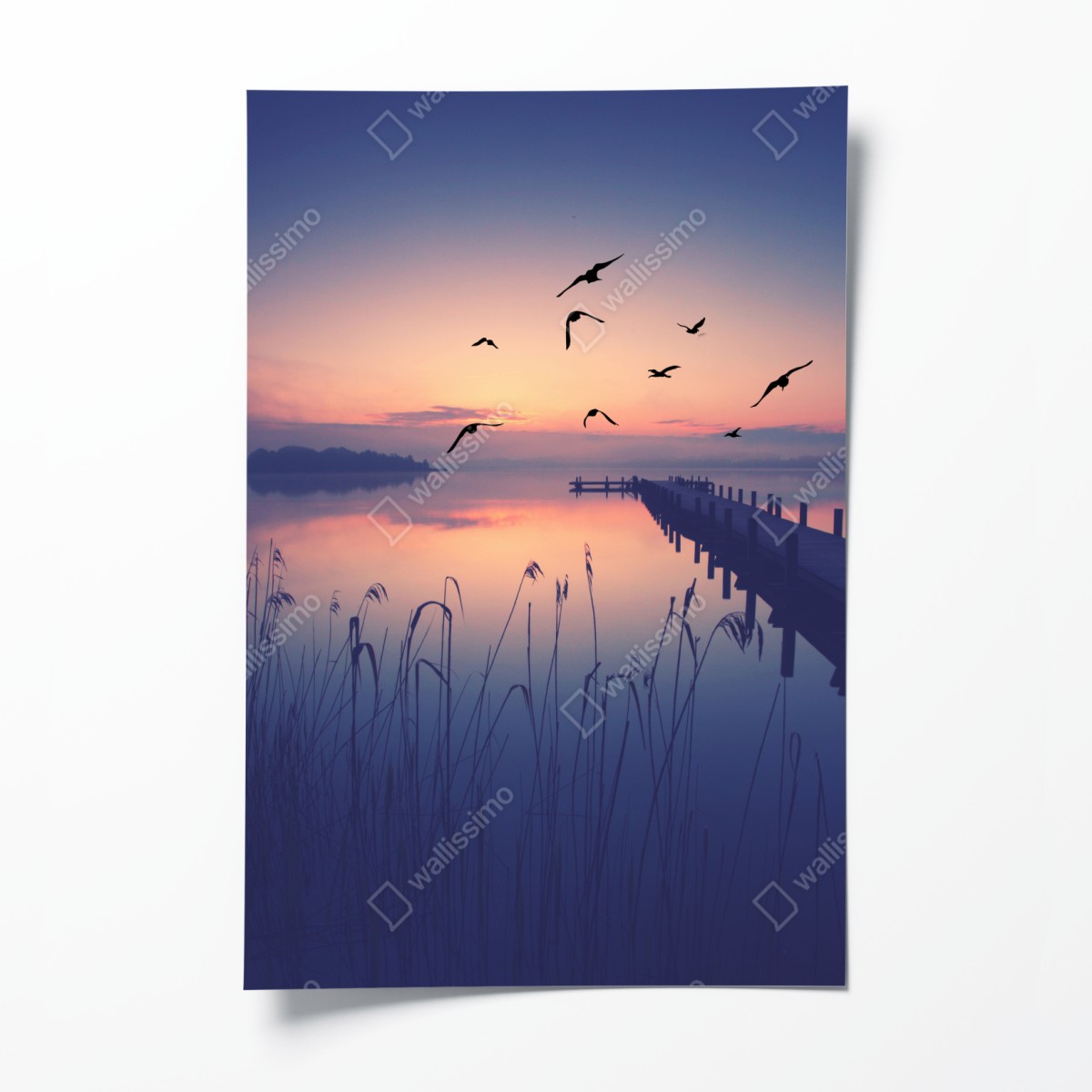 Poster ruhiger sonnenaufgang am see mit vögeln – Wallnifity®
