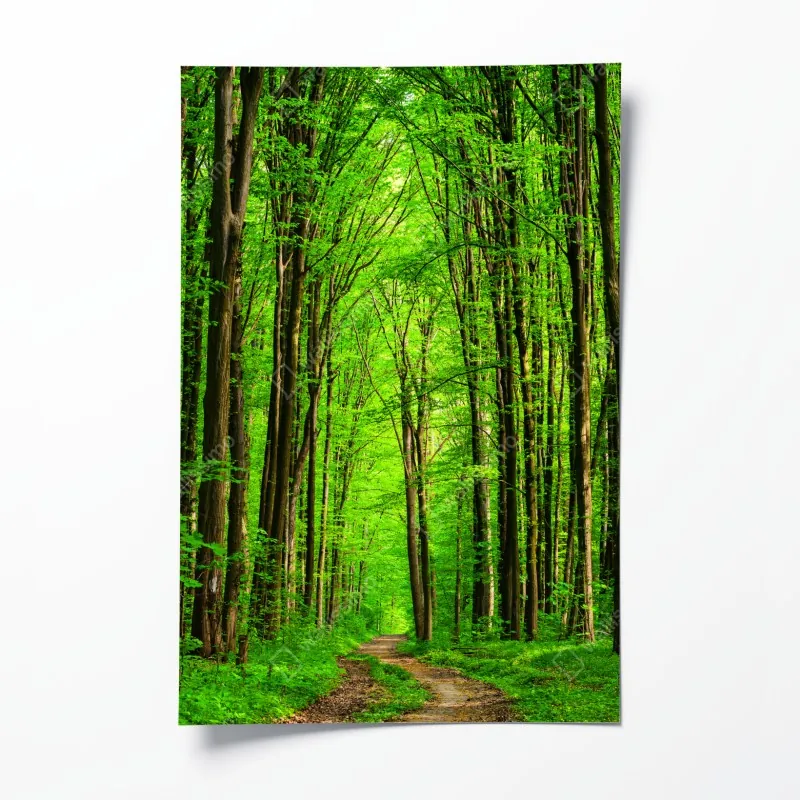 Poster lebendiges Barcelona Park Güell mosaik panorama – Wallnifity®