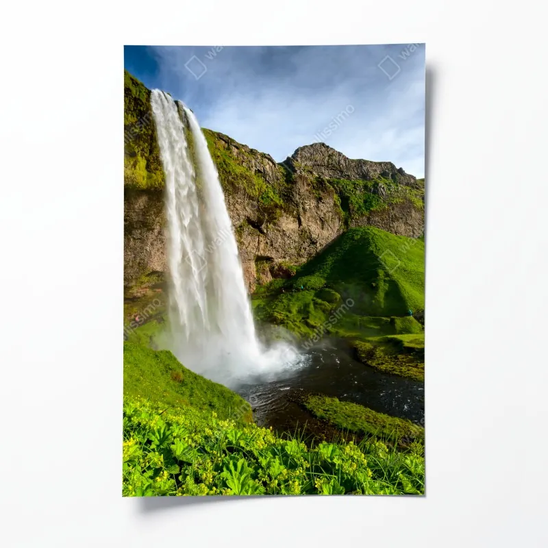 Poster zartes korallenfarbenes blumenmuster – Wallnifity®