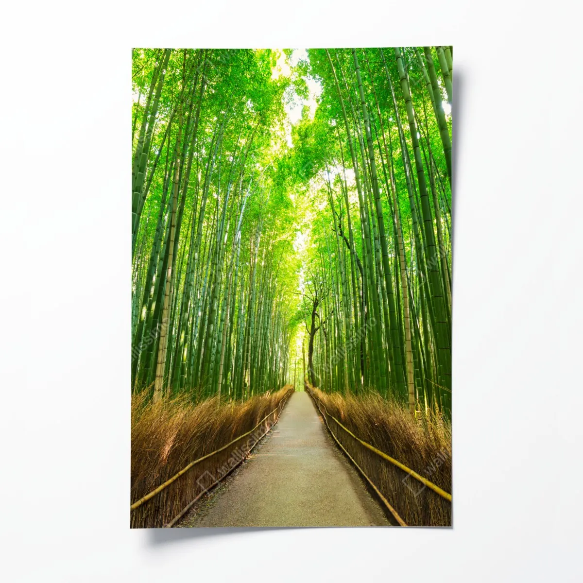 Poster ruhiger bambusweg in Kyoto – Wallnifity®