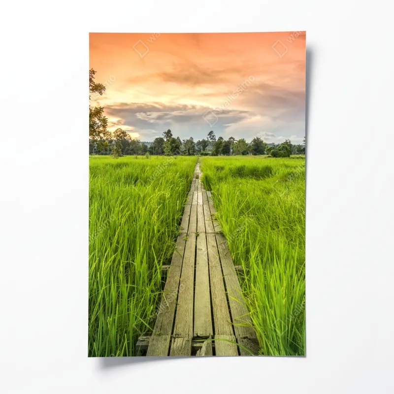 Poster sonnige bergwiese bei sonnenaufgang – Wallnifity®