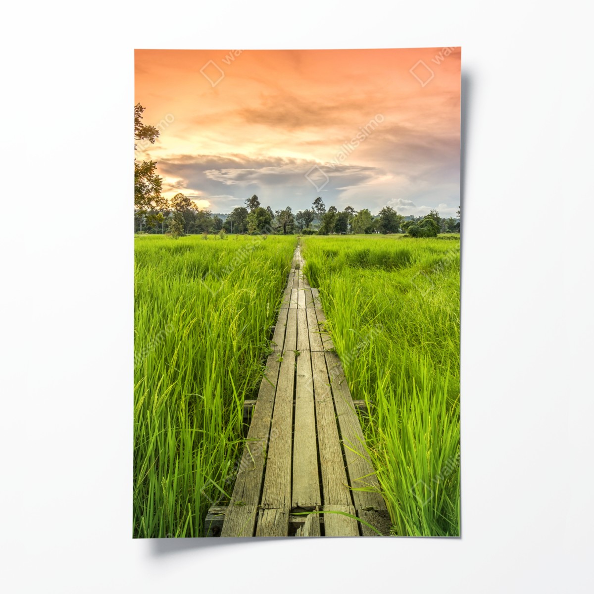 Poster sonnenuntergang über einer hölzernen brücke in Khonburi – Wallnifity®