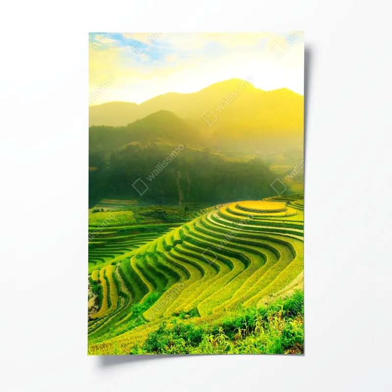 Poster sonnige skyline von Rom mit kuppeln – Wallnifity®