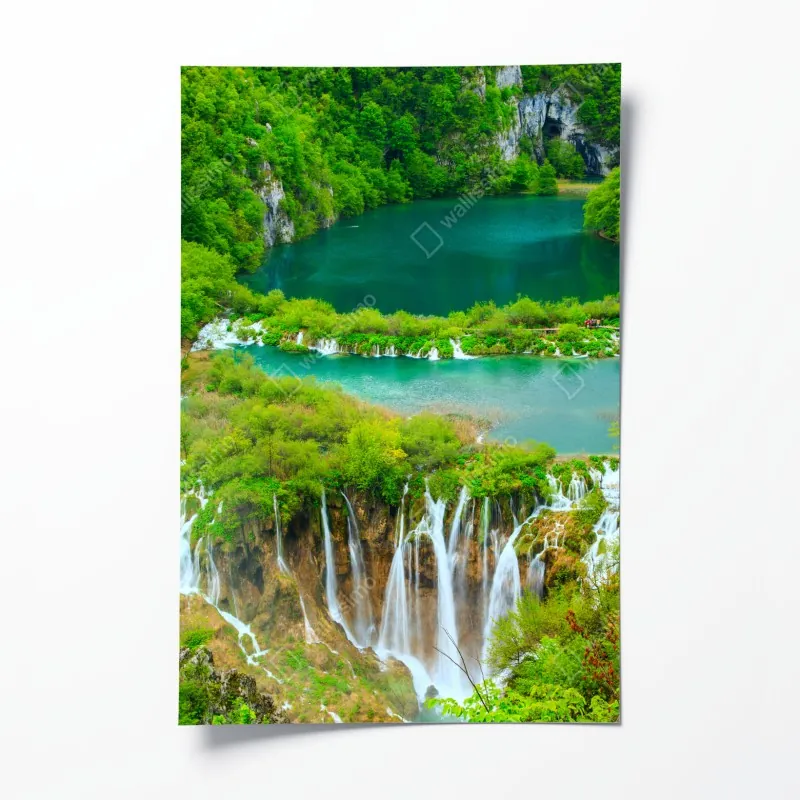 Poster tropische blätter und blüten – Wallnifity®