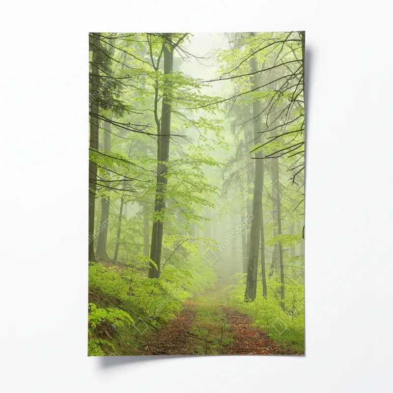 Poster Kirkjufell bei sonnenaufgang – Wallnifity®