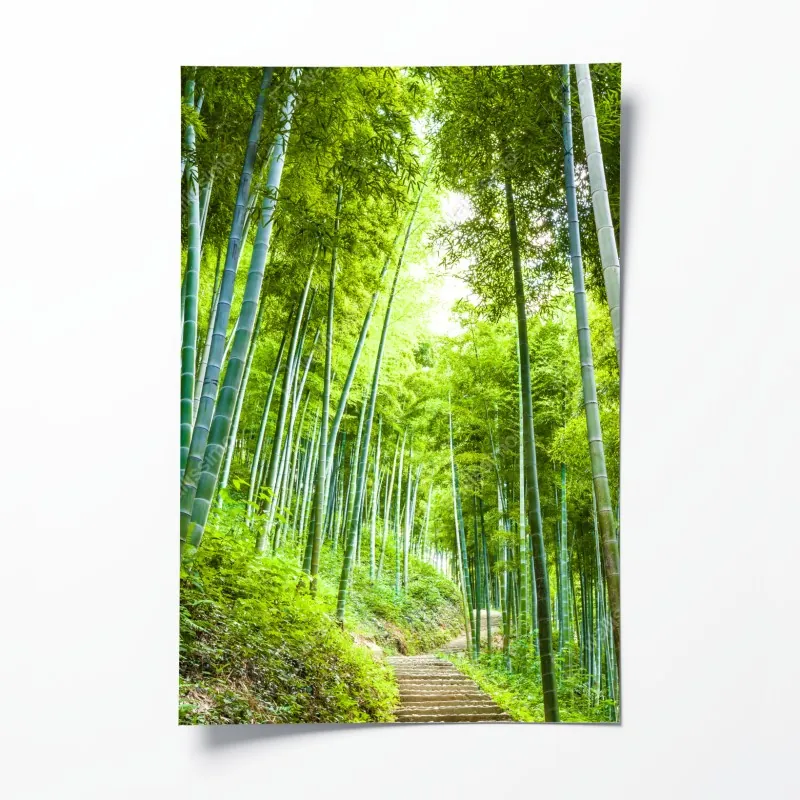 Poster üppiges grünes tal – Wallnifity®