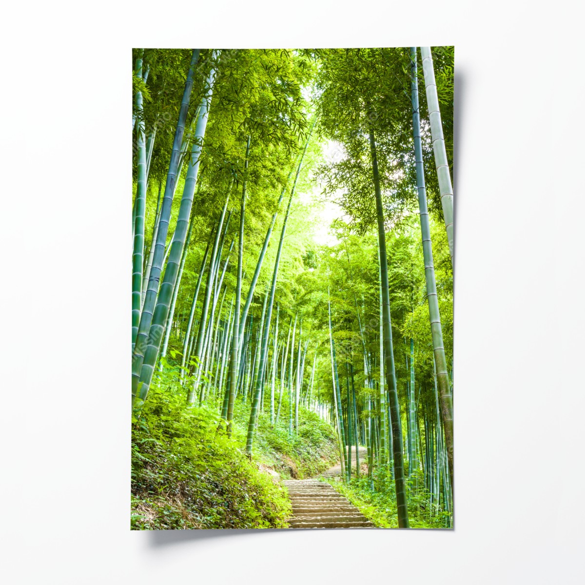 Poster ruhiger bambuswaldweg – Wallnifity®