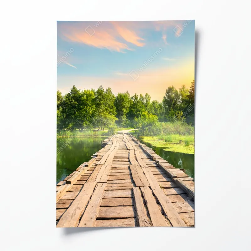 Poster moosiger wald mit bach im nebel – Wallnifity®