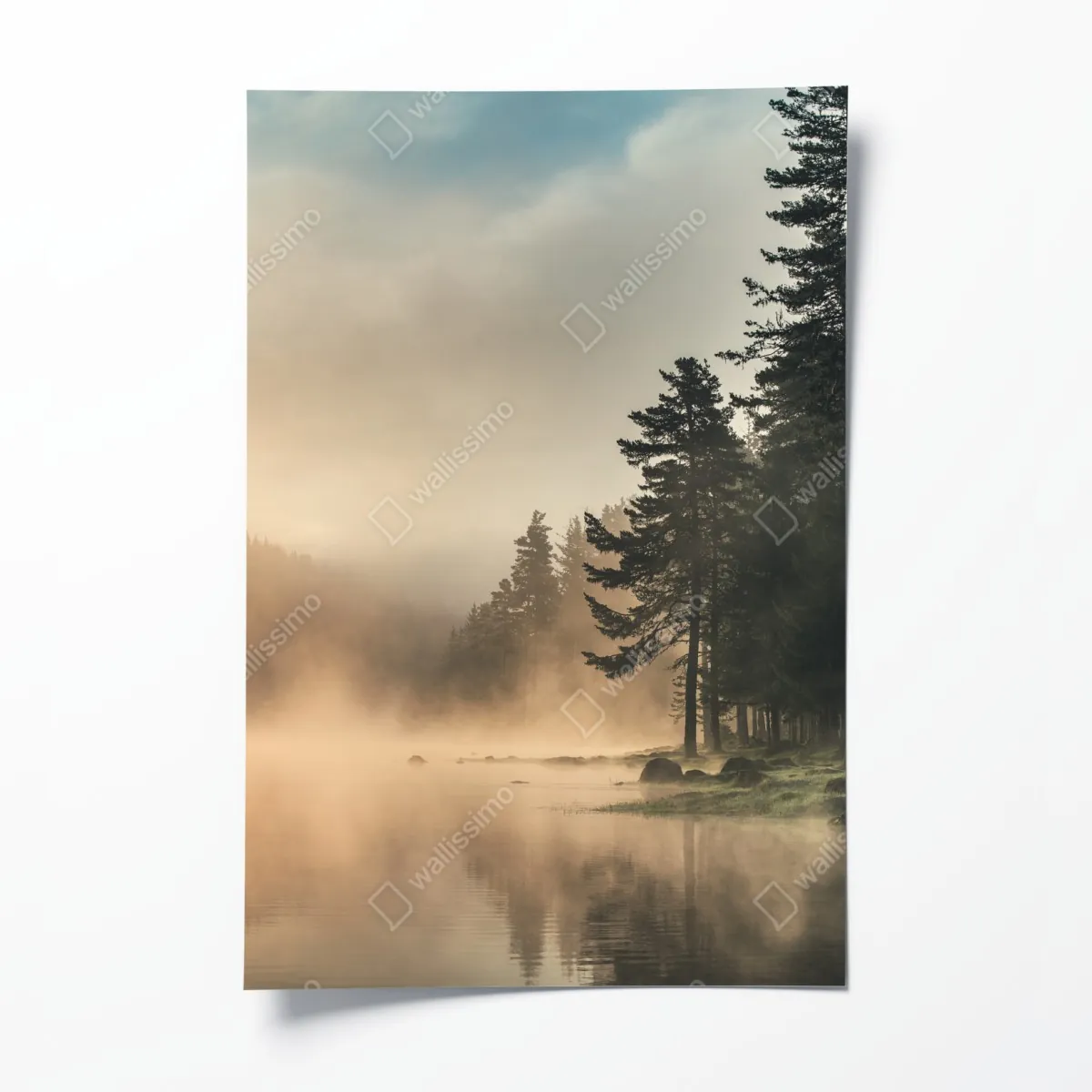 Poster nebliger sonnenaufgang über waldsee – Wallnifity®