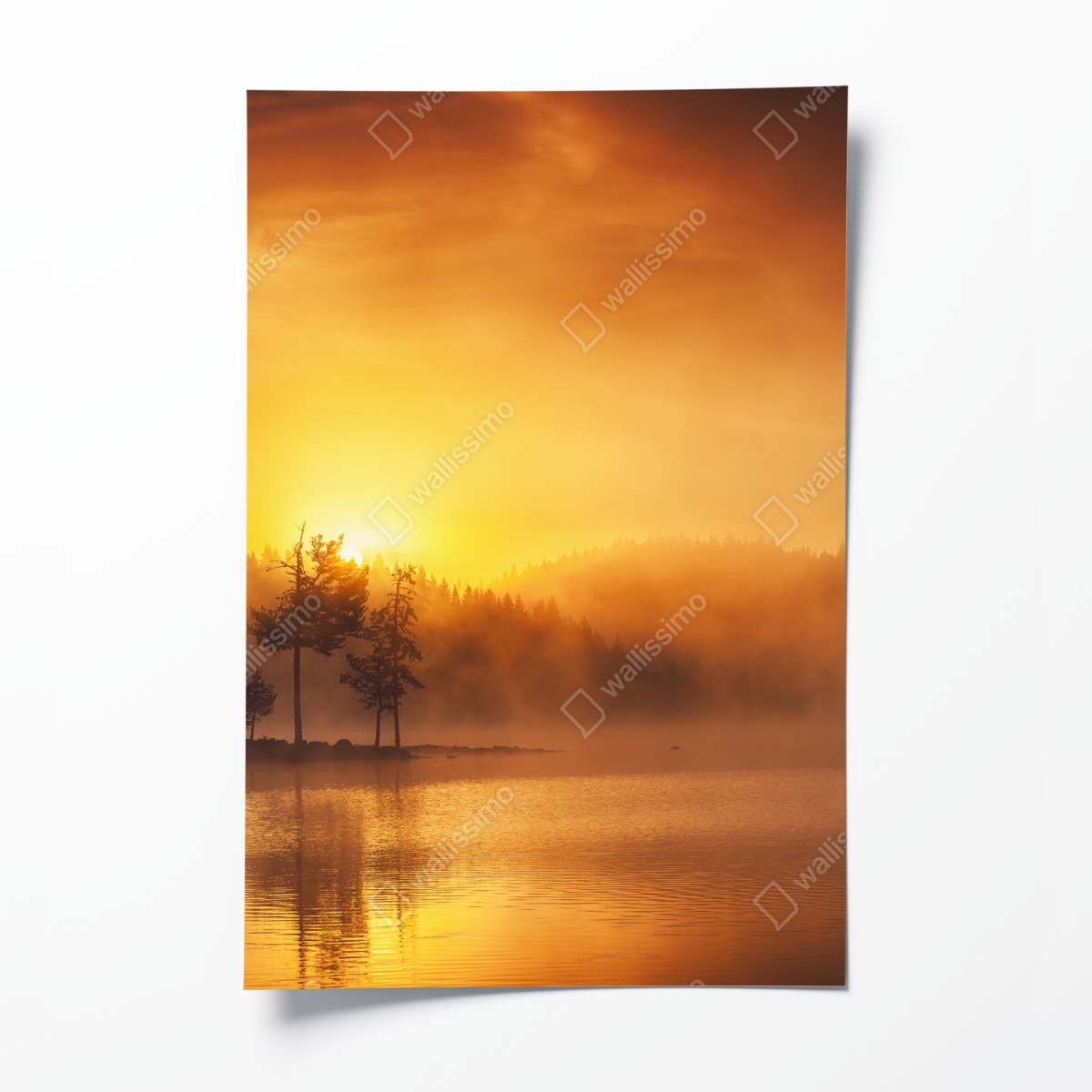 Poster goldener sonnenaufgang über dem nebligen see – Wallnifity®