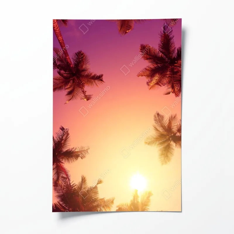 Poster leuchtende gelbe sonnenblumen in nahaufnahme – Wallnifity®