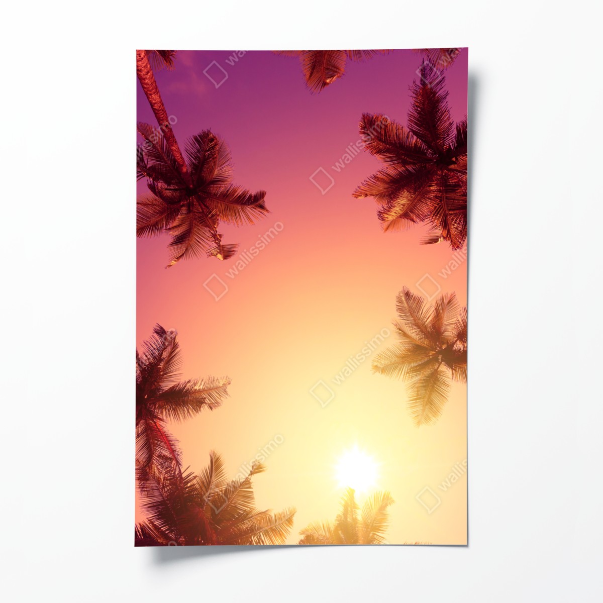 Poster tropischer sonnenuntergang mit palmen-silhouetten – Wallnifity®