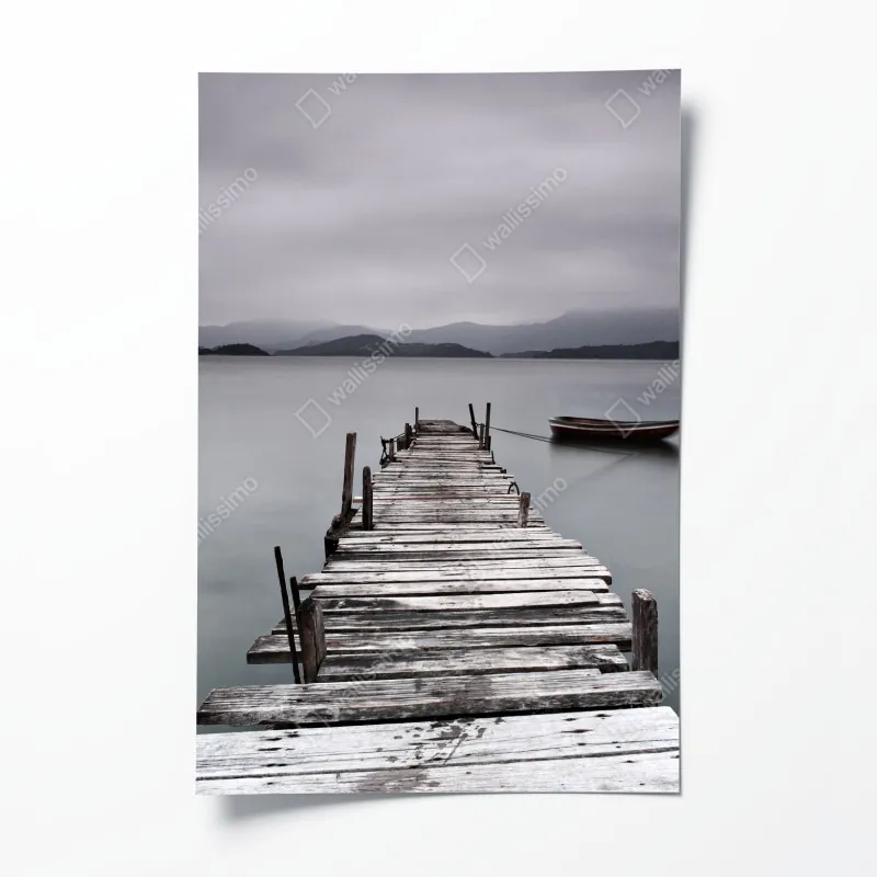 Poster moosiger wald mit bach im nebel – Wallnifity®