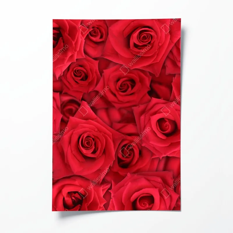 Poster dynamische rote und weiße abstrakte komposition – Wallnifity®