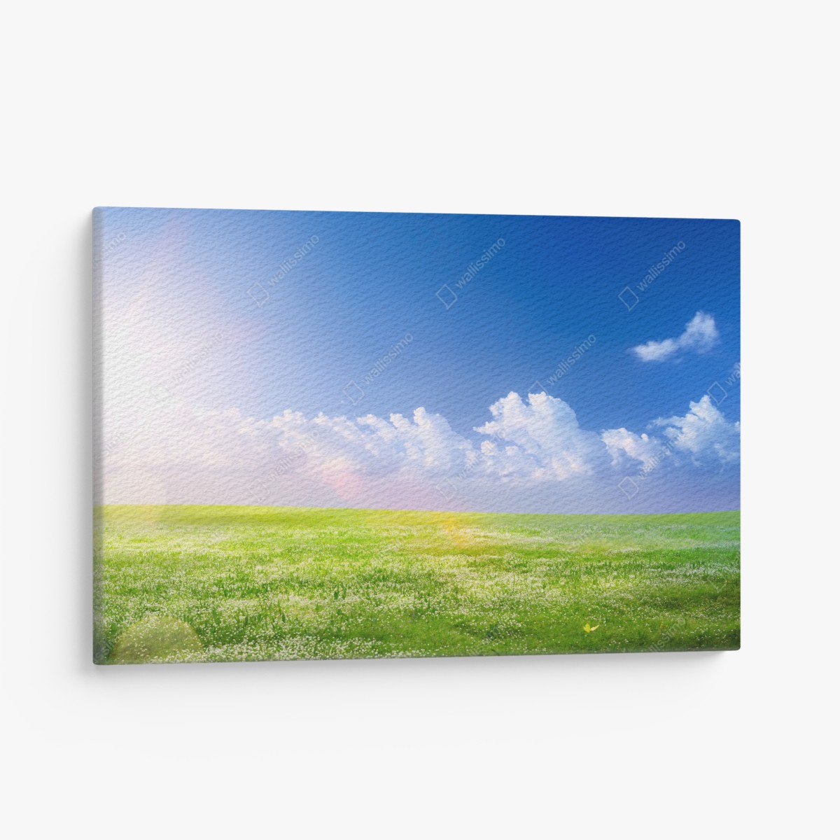 Leinwandbild sonnige frühlingswiese unter blauem himmel – Wallnifity®