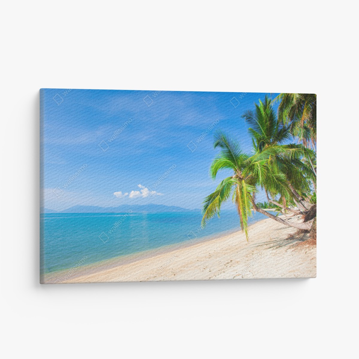 Leinwandbild tropischer palmenstrand – Wallnifity®