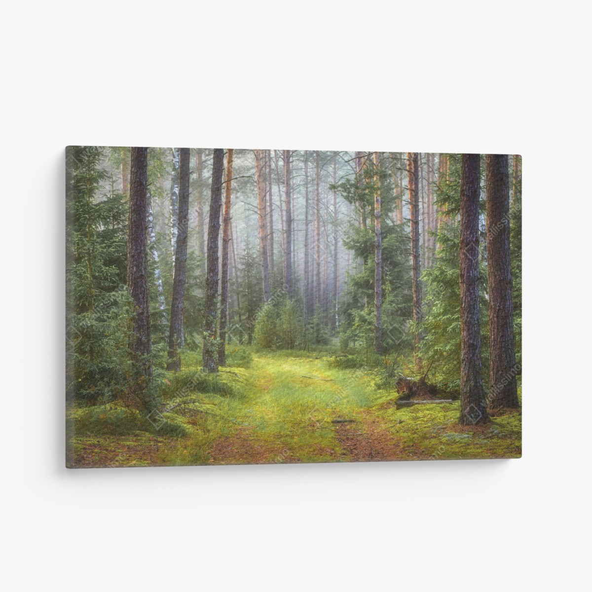 Leinwandbild nebliger kiefernwald mit pfad – Wallnifity®