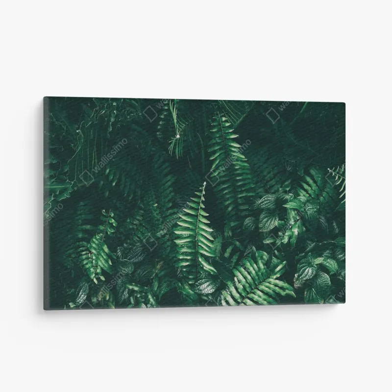 Leinwandbild ruhiger seerosen-teich in der wiese – Wallnifity®