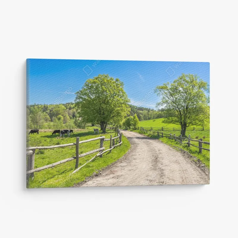 Leinwandbild sonniger feldweg mit einsamem baum – Wallnifity®
