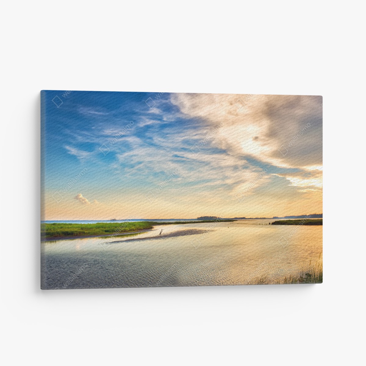 Leinwandbild graureiher in der Chesapeake-Bucht bei sonnenuntergang – Wallnifity®