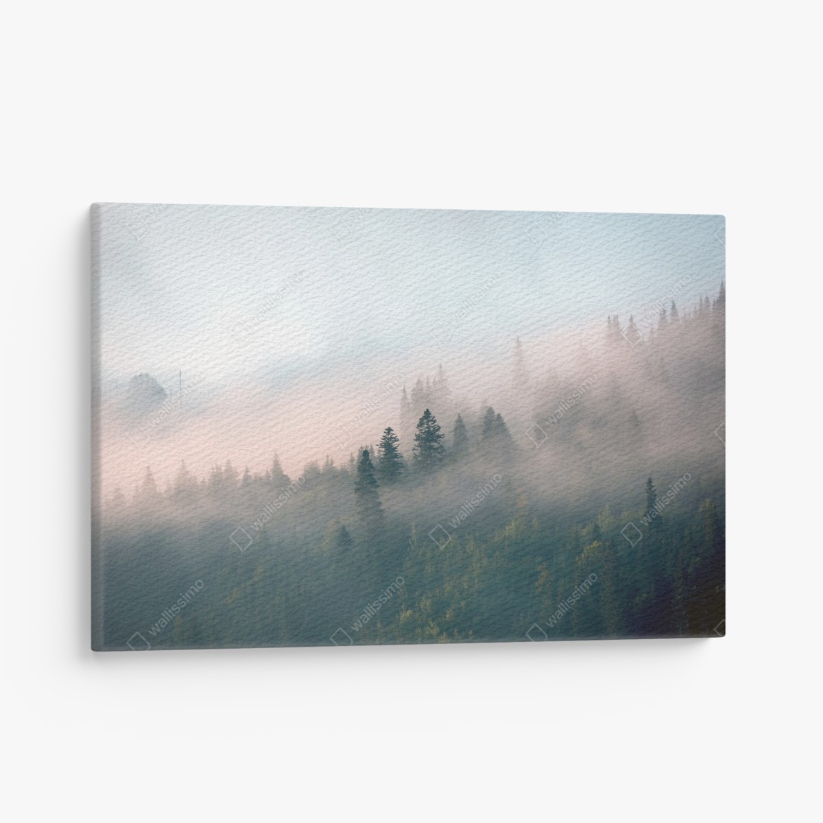 Leinwandbild nebliger morgenwald – Wallnifity®