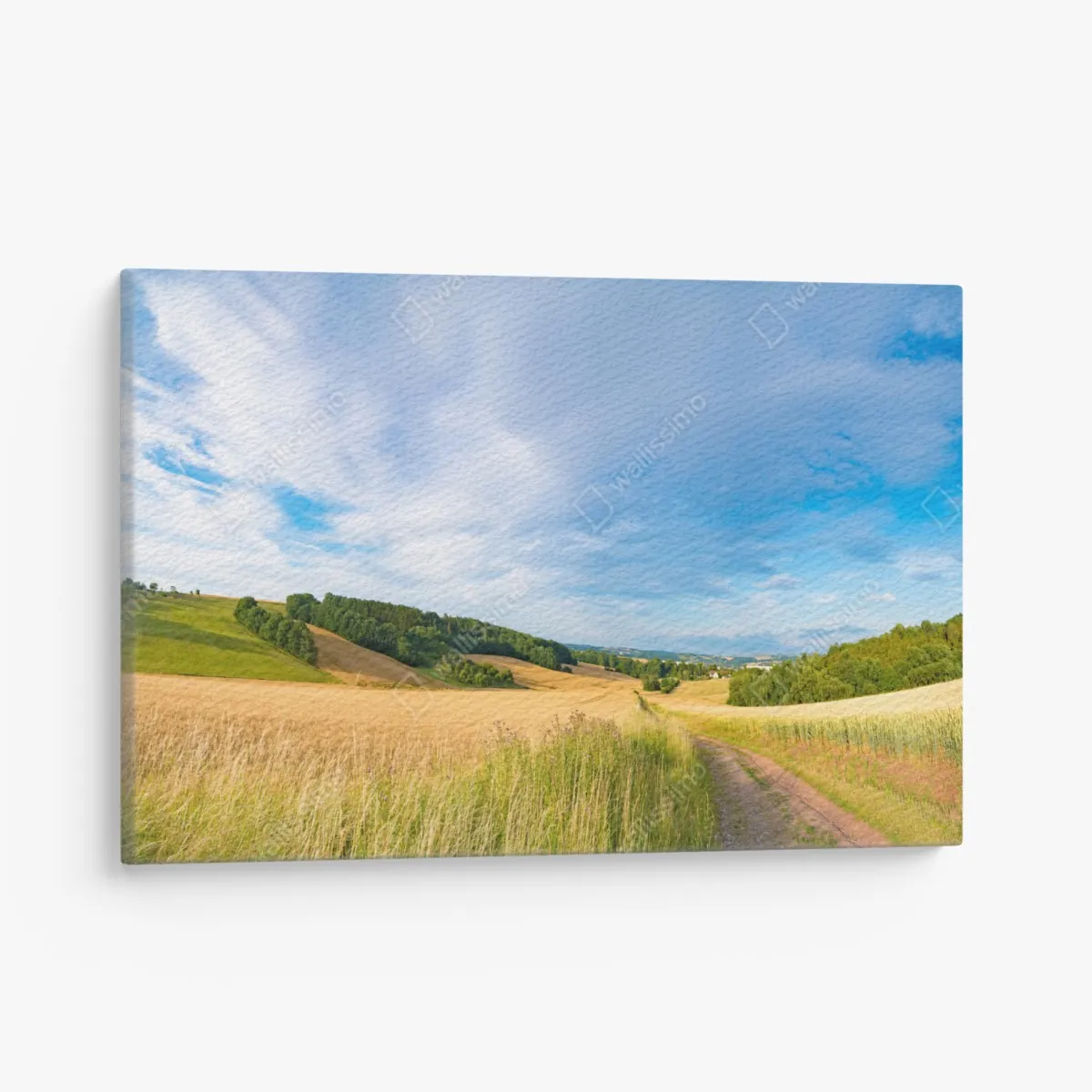 Leinwandbild morgendliche weizenlandschaft in Kansas – Wallnifity®