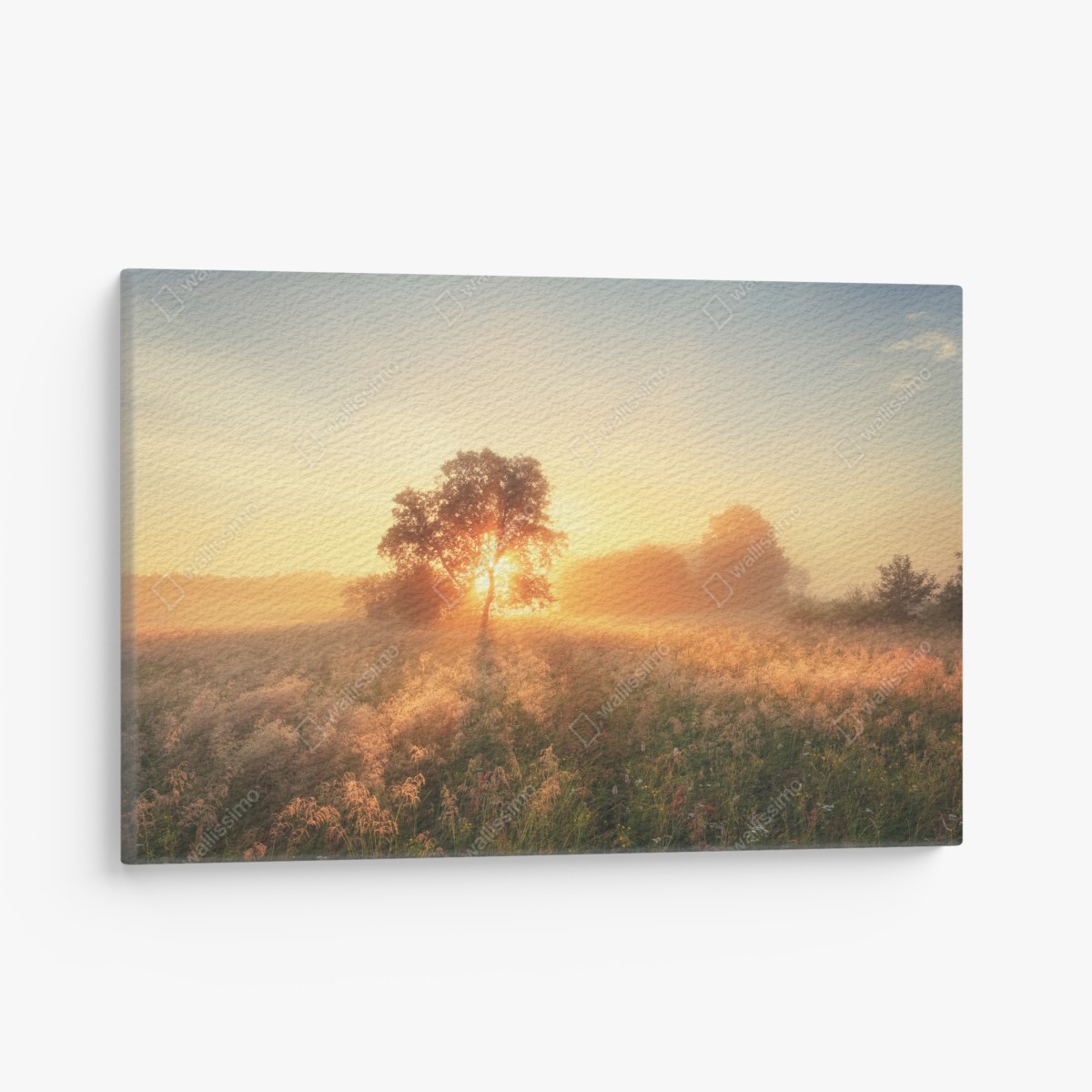Leinwandbild goldener sonnenaufgang über nebliger wiese – Wallnifity®