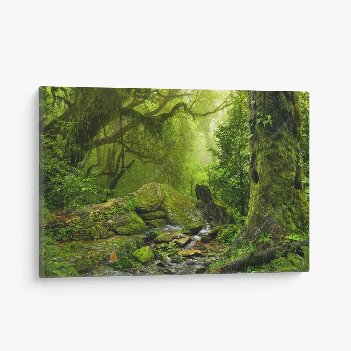 Leinwandbild moosbedeckter waldbach – Wallnifity®