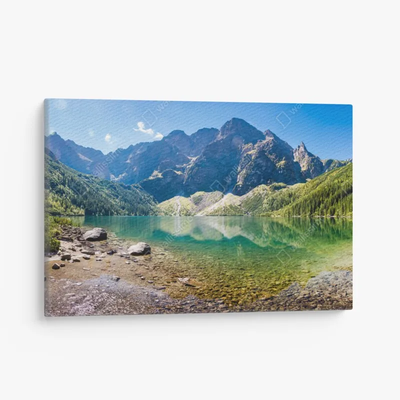 Leinwandbild ruhiger waldsteg im grünen – Wallnifity®