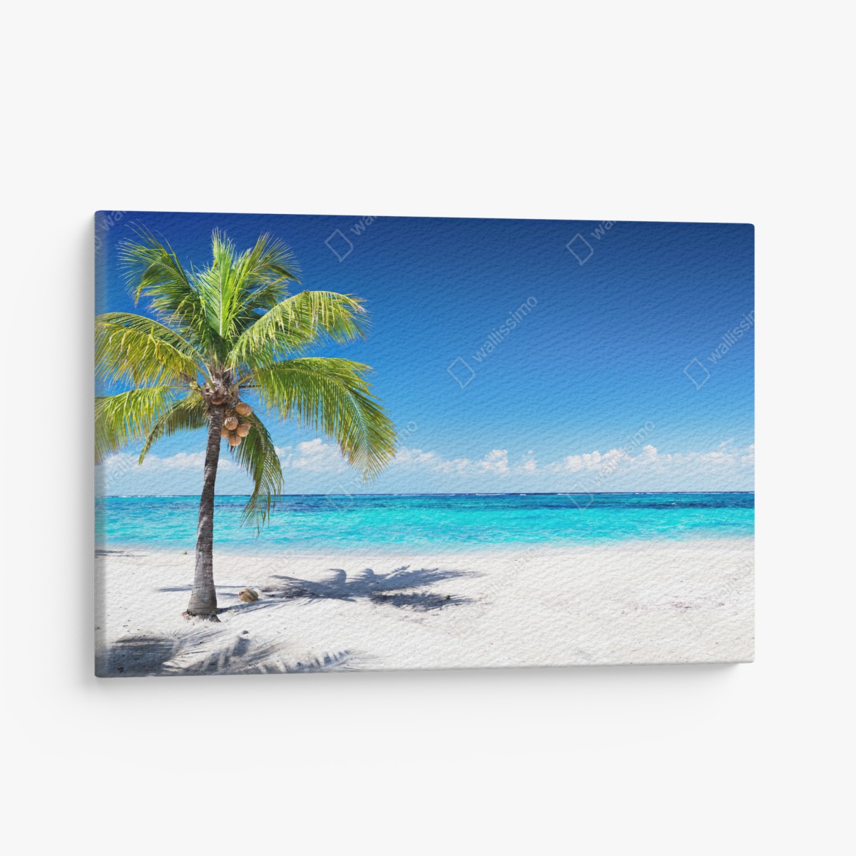 Leinwandbild tropische palme an einer türkisfarbenen bucht – Wallnifity®