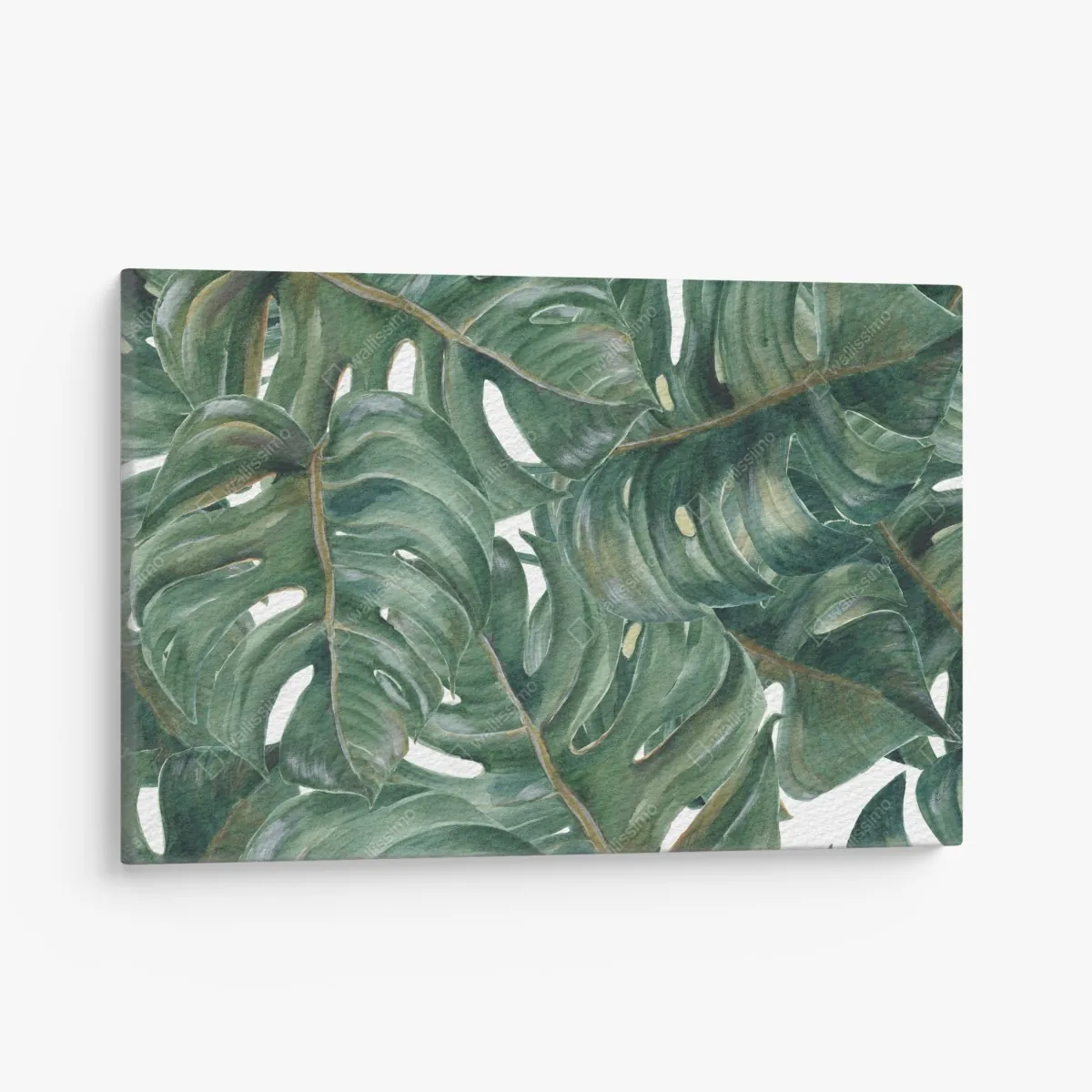 Leinwandbild monstera blätter in aquarell – Wallnifity®